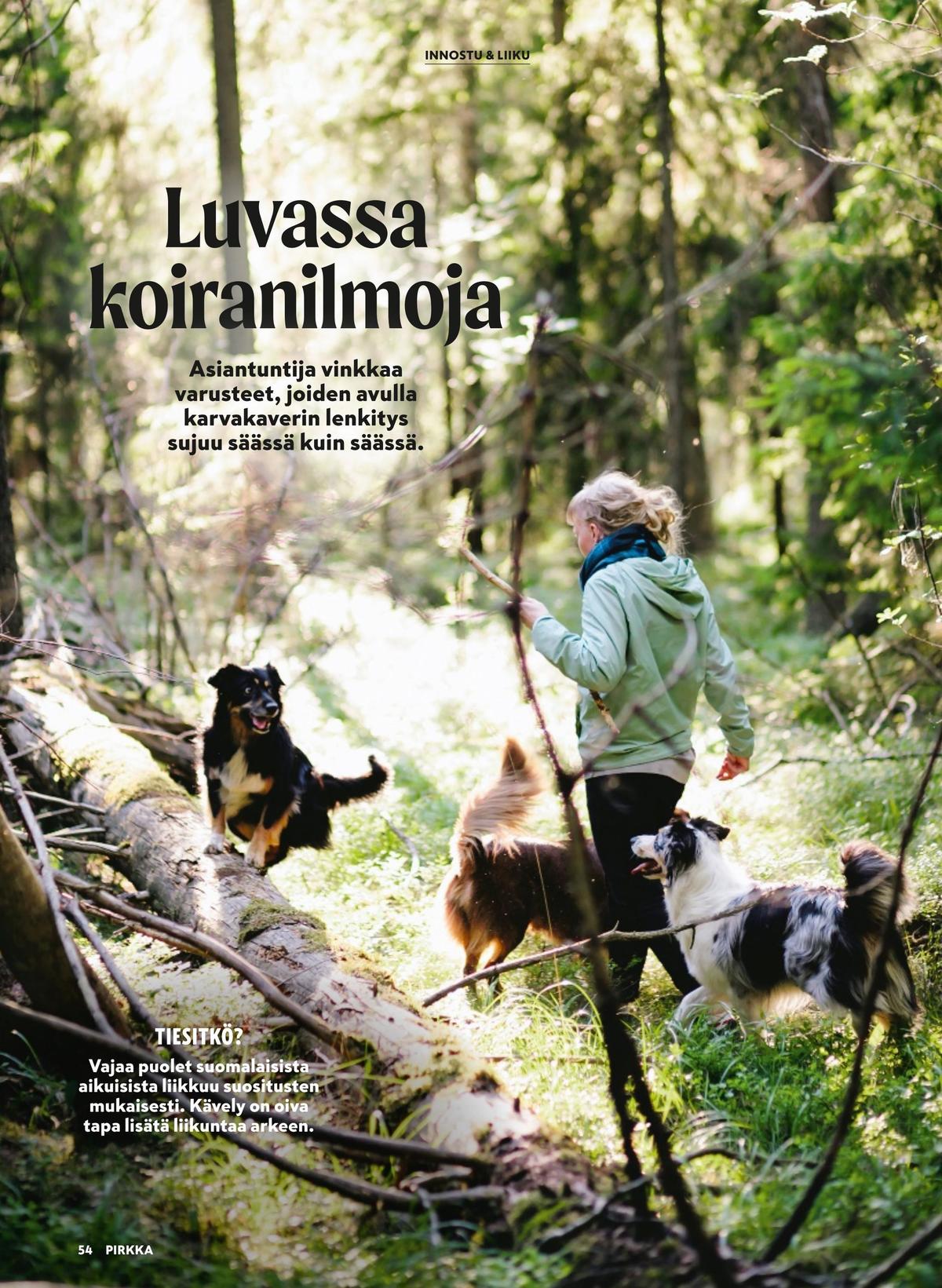 Katso ketjun Pirkka tarjouslehti viikolta 42 sivustolla Viikkotarjoukset.fi. Löydät monia hyviä tarjouksia erilaisista tuotteista. Lue tarjouslehti täältä! Sivu 54