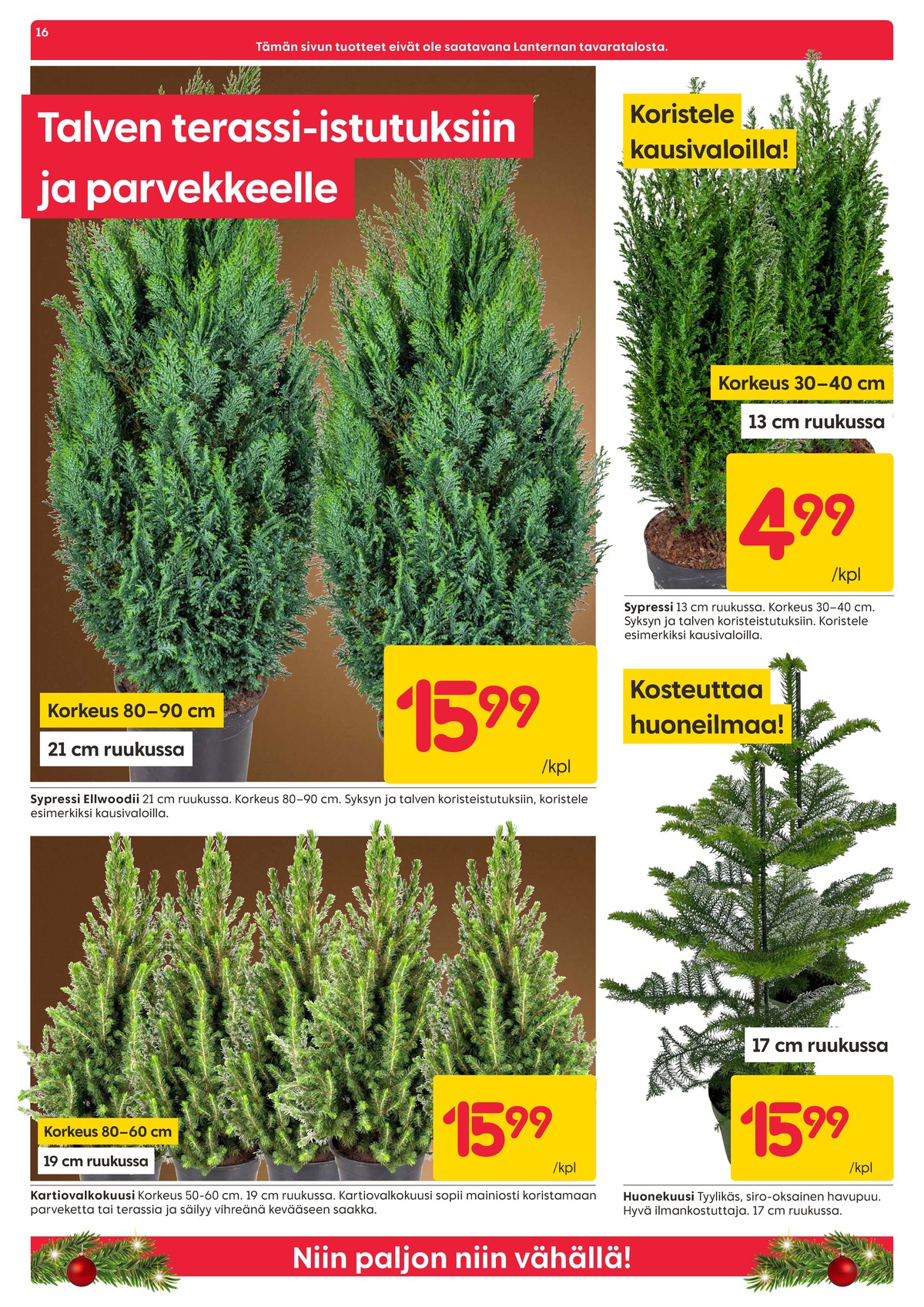 Katso ketjun Rusta tarjouslehti viikolta 45 sivustolla Viikkotarjoukset.fi. Löydät monia hyviä tarjouksia erilaisista tuotteista, esimerkiksi kasvit ei määritelty tai kasvit ei määritelty. Lue tarjouslehti täältä! Sivu 16