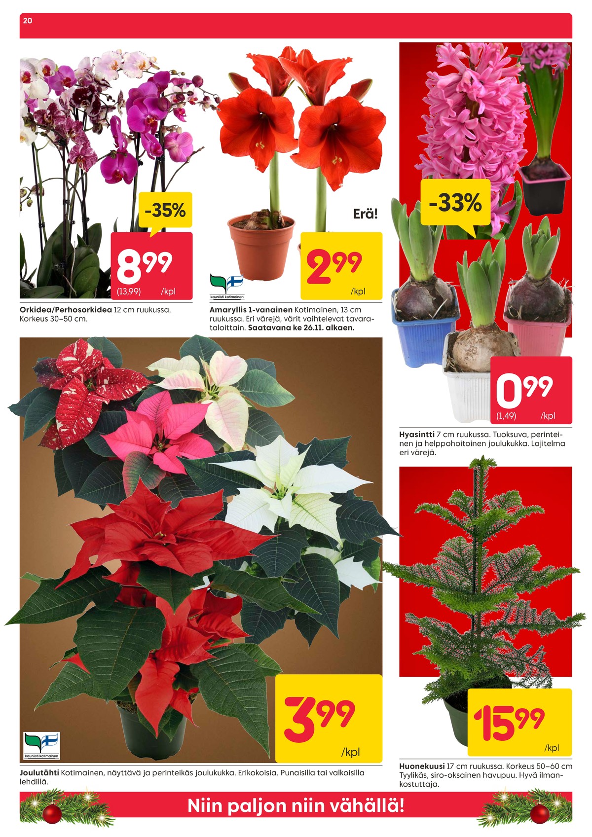 Katso ketjun Rusta tarjouslehti viikolta 48 sivustolla Viikkotarjoukset.fi. Löydät monia hyviä tarjouksia erilaisista tuotteista, esimerkiksi ruukkukukat ei määritelty tai kasvit ei määritelty. Lue tarjouslehti täältä! Sivu 20