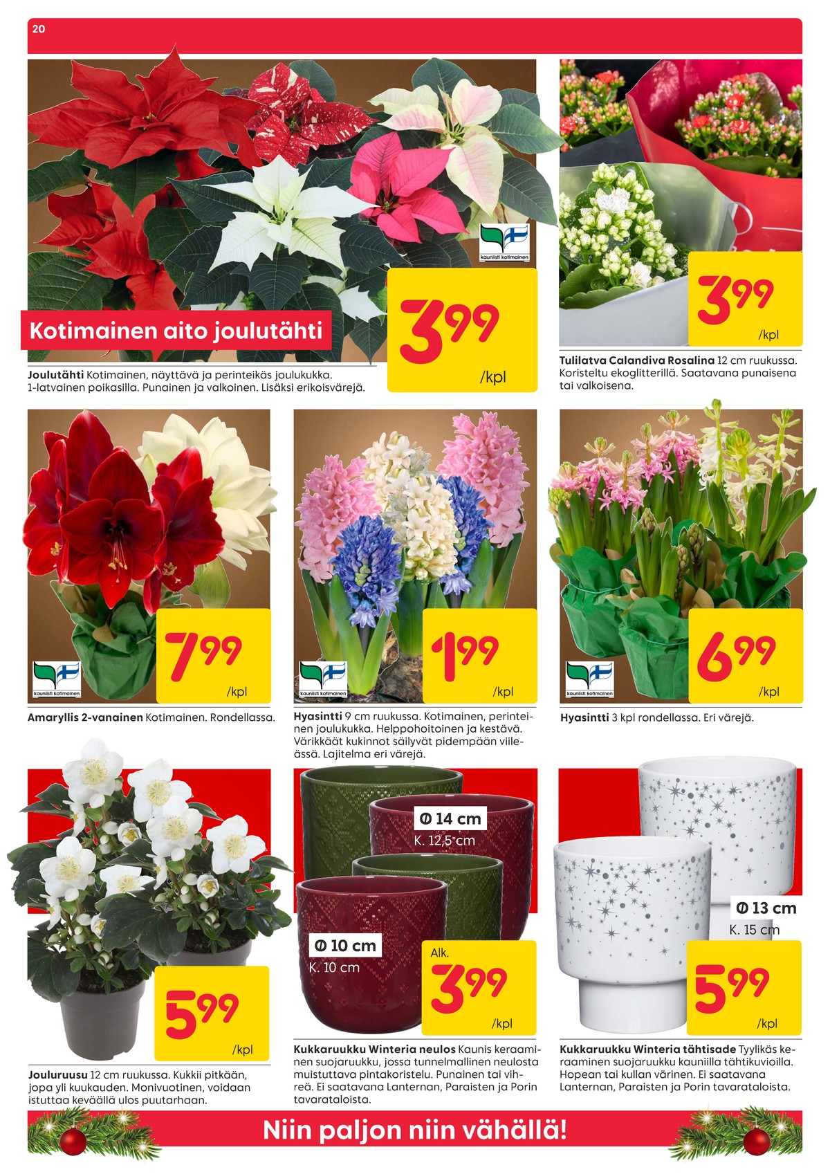 Katso ketjun Rusta tarjouslehti viikolta 49 sivustolla Viikkotarjoukset.fi. Löydät monia hyviä tarjouksia erilaisista tuotteista, esimerkiksi joulukukat ei määritelty tai ruukkukukat ei määritelty. Lue tarjouslehti täältä! Sivu 20