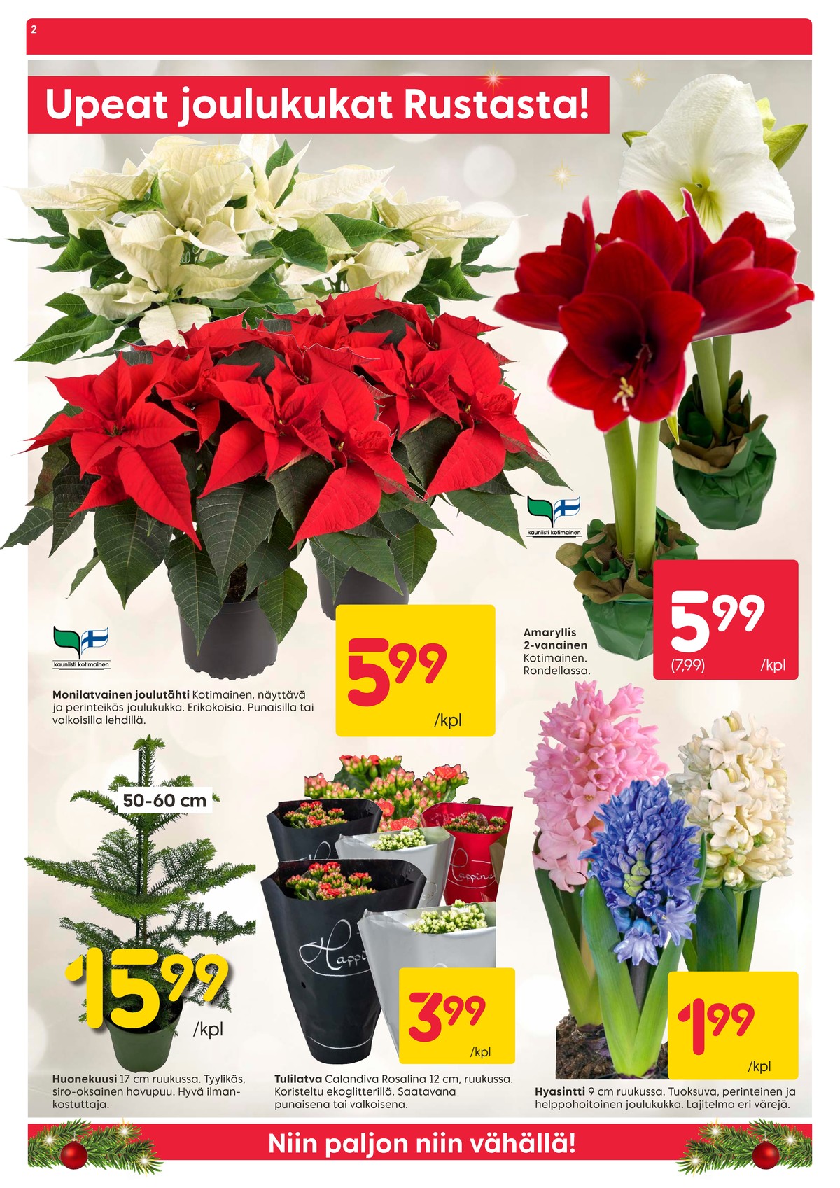 Katso ketjun Rusta tarjouslehti viikolta 50 sivustolla Viikkotarjoukset.fi. Löydät monia hyviä tarjouksia erilaisista tuotteista, esimerkiksi joulukukat ei määritelty tai kasvit ei määritelty. Lue tarjouslehti täältä! Sivu 2
