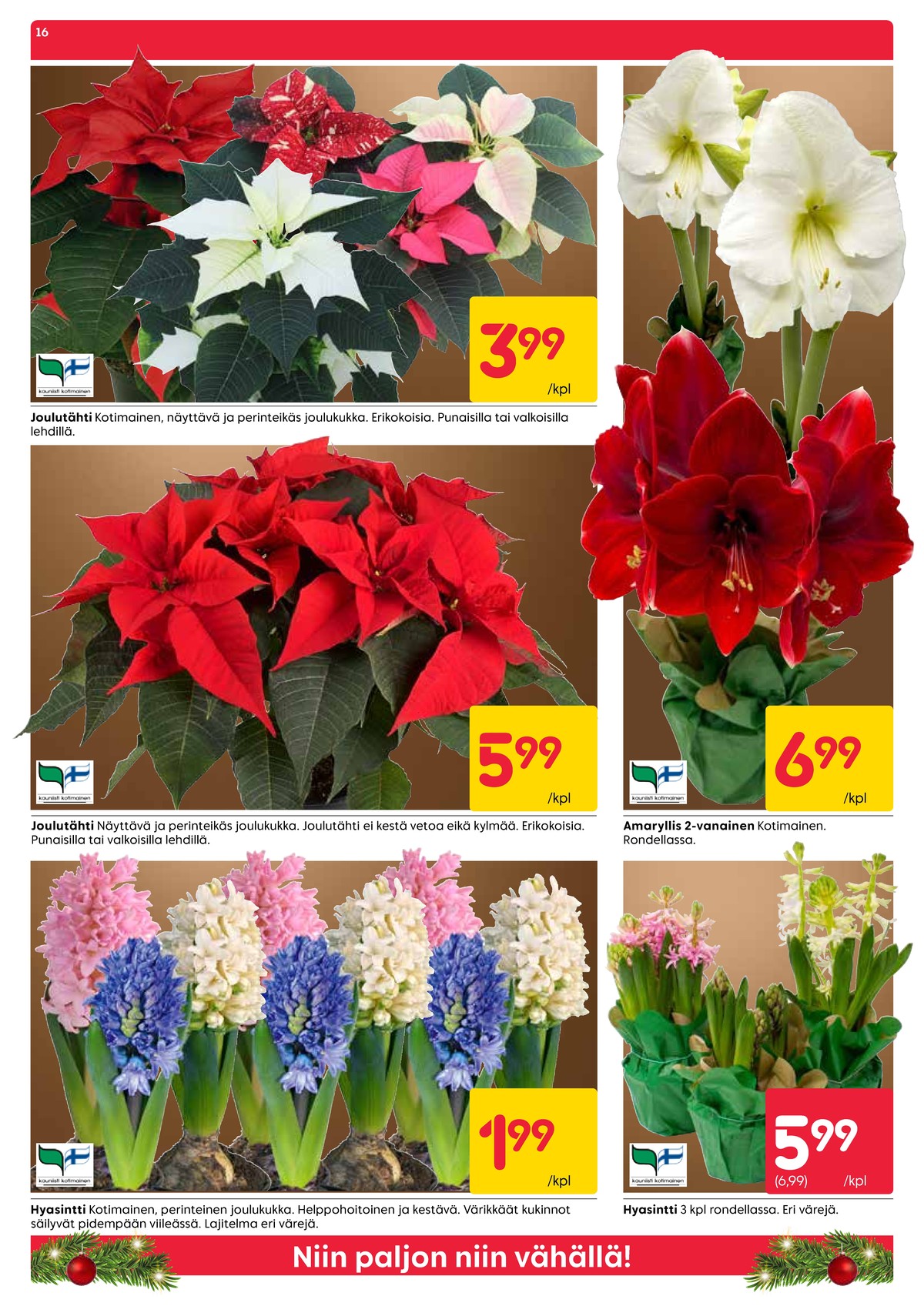 Katso ketjun Rusta tarjouslehti viikolta 52 sivustolla Viikkotarjoukset.fi. Löydät monia hyviä tarjouksia erilaisista tuotteista, esimerkiksi ruukkukukat ei määritelty tai ruukkukukat ei määritelty. Lue tarjouslehti täältä! Sivu 16