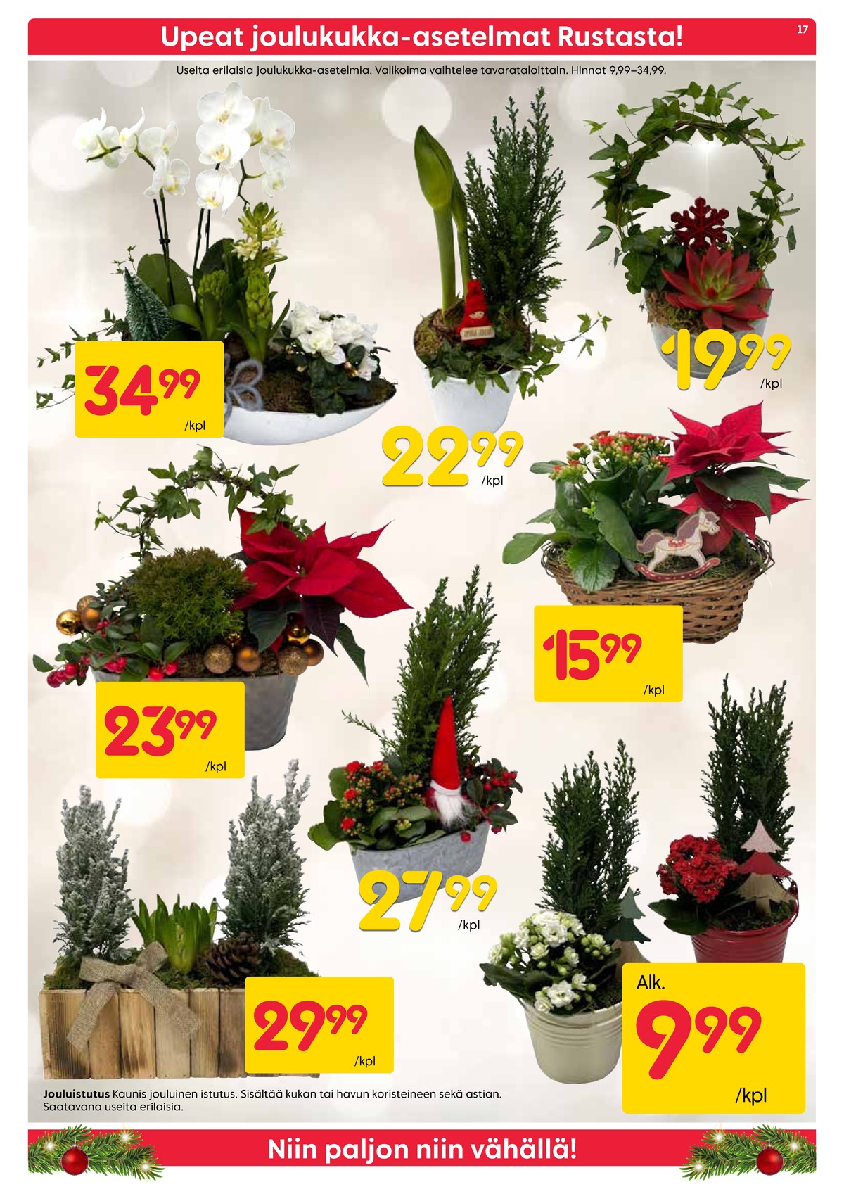 Katso ketjun Rusta tarjouslehti viikolta 52 sivustolla Viikkotarjoukset.fi. Löydät monia hyviä tarjouksia erilaisista tuotteista, esimerkiksi joulukukat ei määritelty tai joulukukat ei määritelty. Lue tarjouslehti täältä! Sivu 17