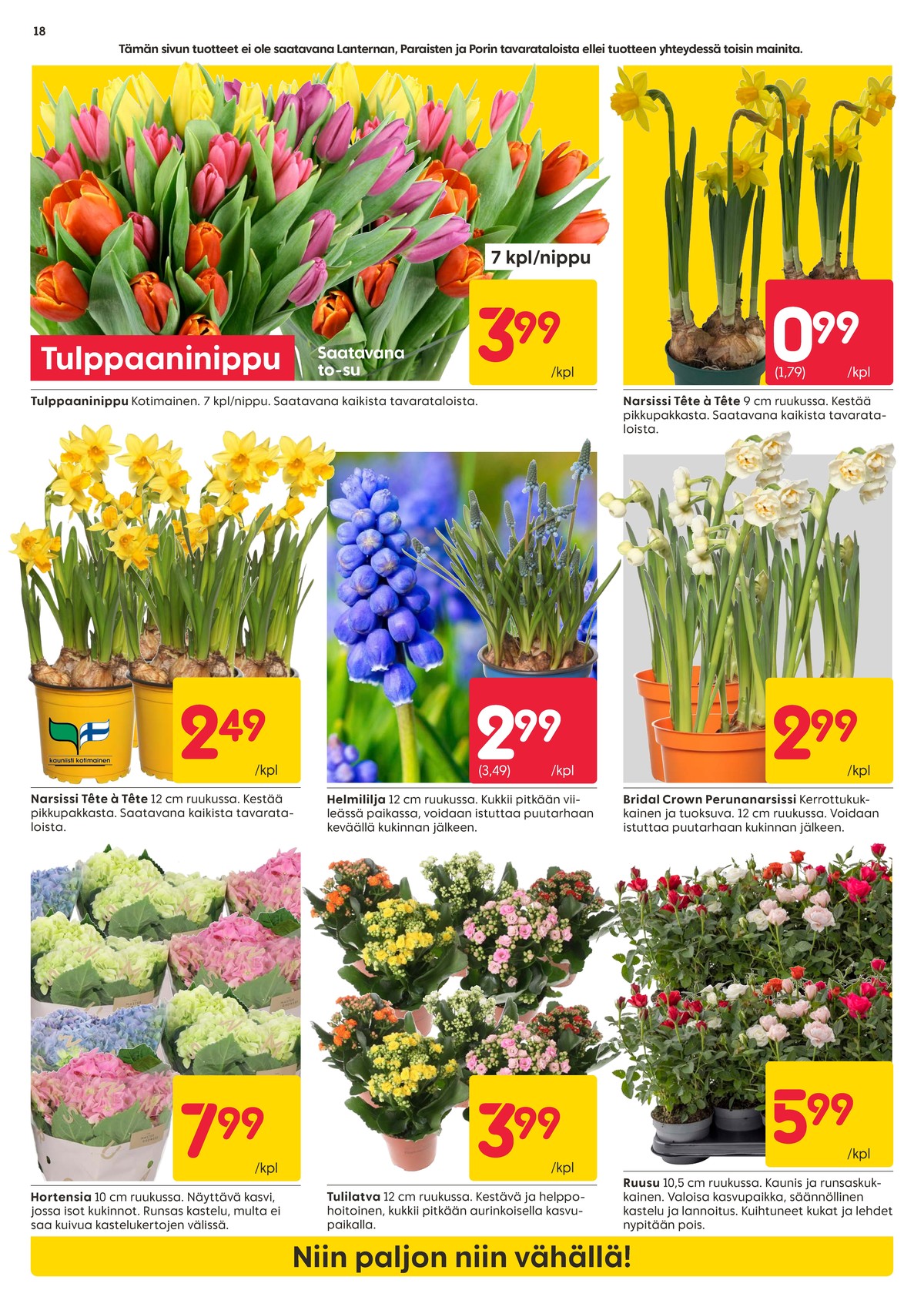 Katso ketjun Rusta tarjouslehti viikolta 10 sivustolla Viikkotarjoukset.fi. Löydät monia hyviä tarjouksia erilaisista tuotteista, esimerkiksi kukkakimput ei määritelty tai ruukkukukat ei määritelty. Lue tarjouslehti täältä! Sivu 18