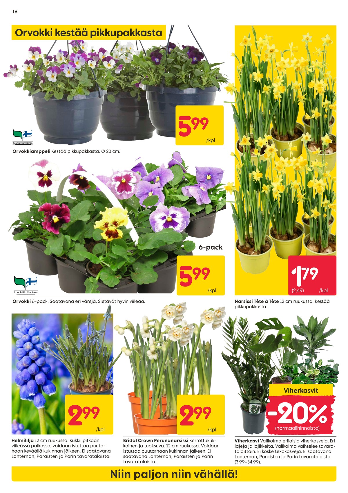 Katso ketjun Rusta tarjouslehti viikolta 13 sivustolla Viikkotarjoukset.fi. Löydät monia hyviä tarjouksia erilaisista tuotteista, esimerkiksi ruukkukukat ei määritelty tai ruukkukukat ei määritelty. Lue tarjouslehti täältä! Sivu 16