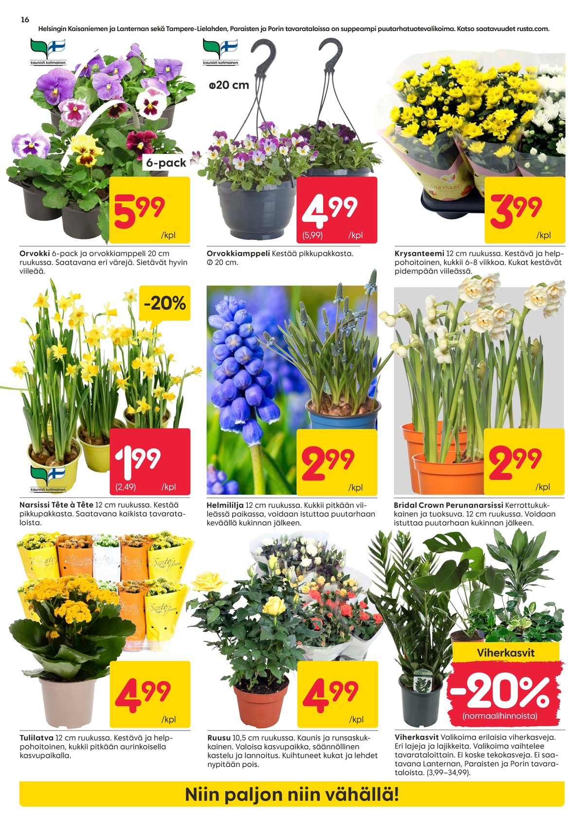 Katso ketjun Rusta tarjouslehti viikolta 14 sivustolla Viikkotarjoukset.fi. Löydät monia hyviä tarjouksia erilaisista tuotteista, esimerkiksi ruukkukukat ei määritelty tai ruukkukukat ei määritelty. Lue tarjouslehti täältä! Sivu 16