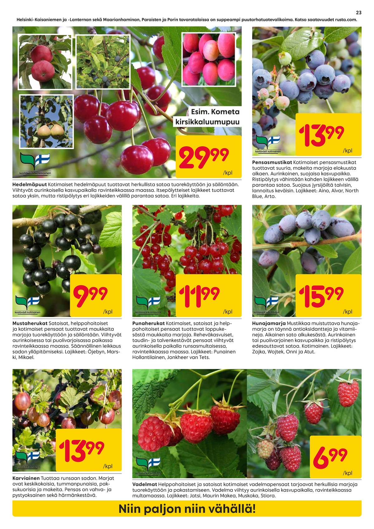 Katso ketjun Rusta tarjouslehti viikolta 16 sivustolla Viikkotarjoukset.fi. Löydät monia hyviä tarjouksia erilaisista tuotteista. Lue tarjouslehti täältä! Sivu 23