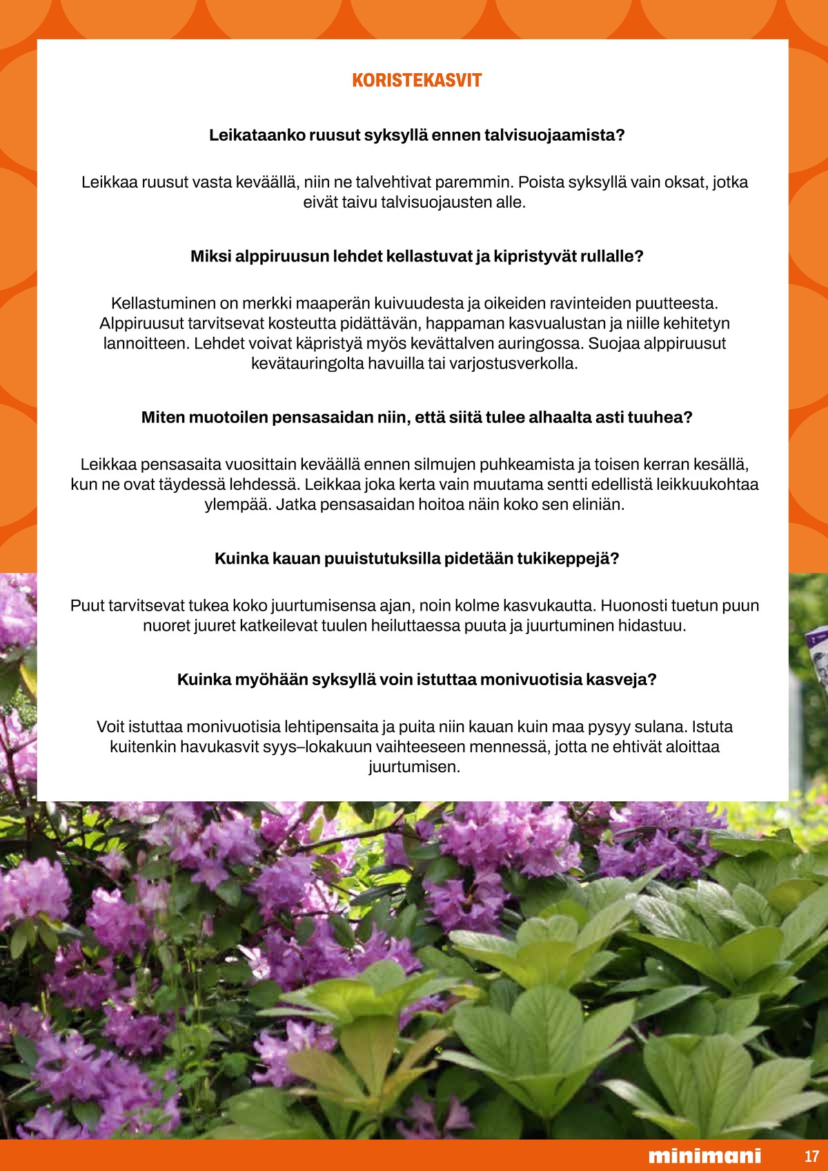 Katso ketjun Minimani tarjouslehti viikolta 17 sivustolla Viikkotarjoukset.fi. Löydät monia hyviä tarjouksia erilaisista tuotteista. Lue tarjouslehti täältä! Sivu 17