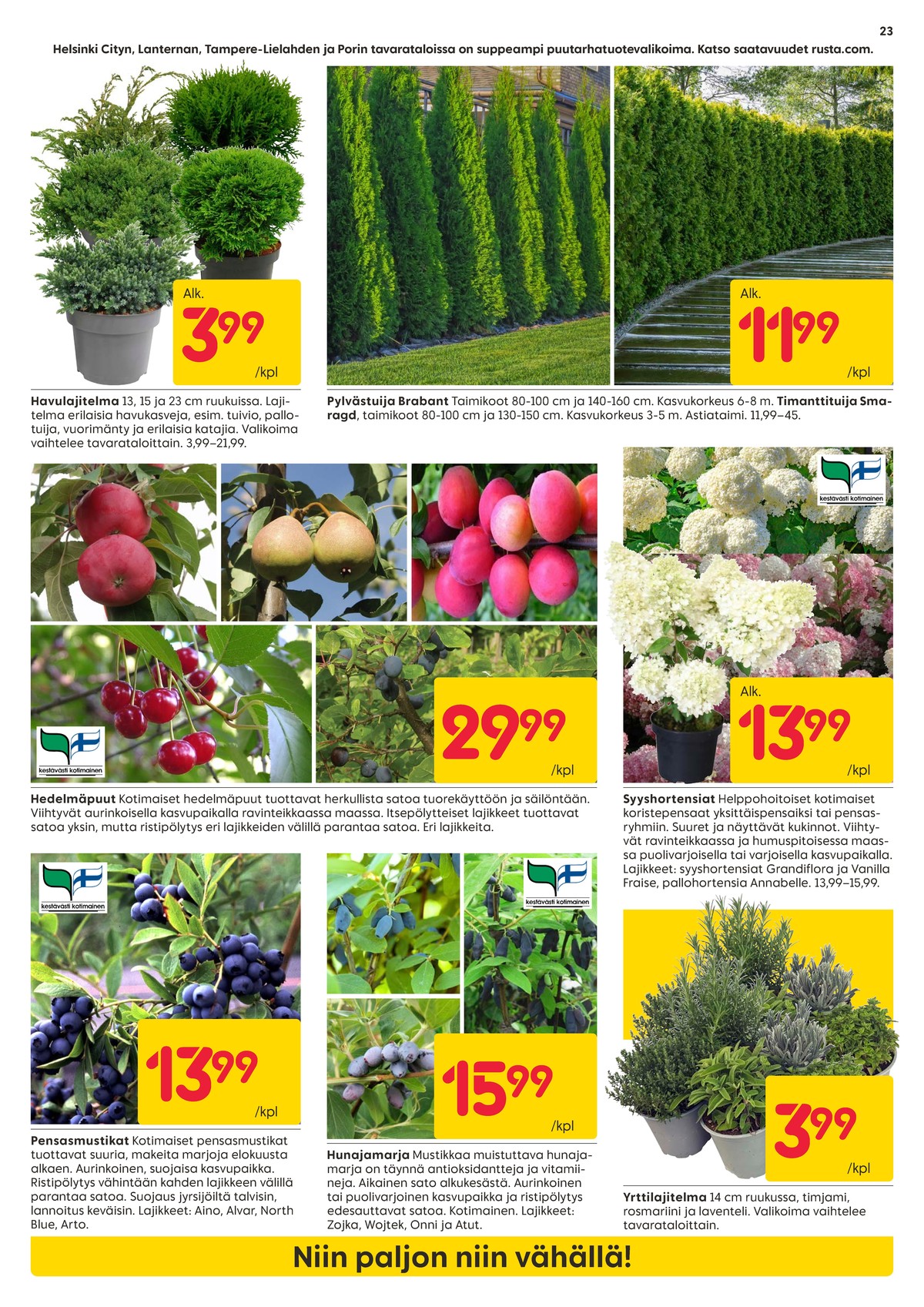 Katso ketjun Rusta tarjouslehti viikolta 18 sivustolla Viikkotarjoukset.fi. Löydät monia hyviä tarjouksia erilaisista tuotteista. Lue tarjouslehti täältä! Sivu 23