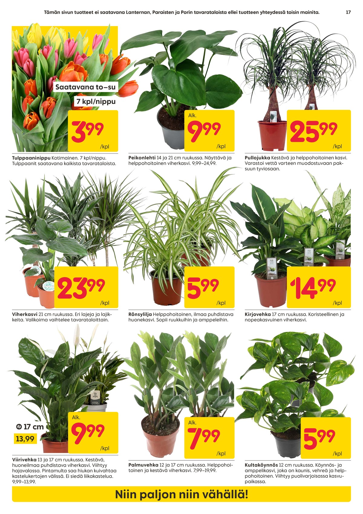 Katso ketjun Rusta tarjouslehti viikolta 4 sivustolla Viikkotarjoukset.fi. Löydät monia hyviä tarjouksia erilaisista tuotteista. Lue tarjouslehti täältä! Sivu 17