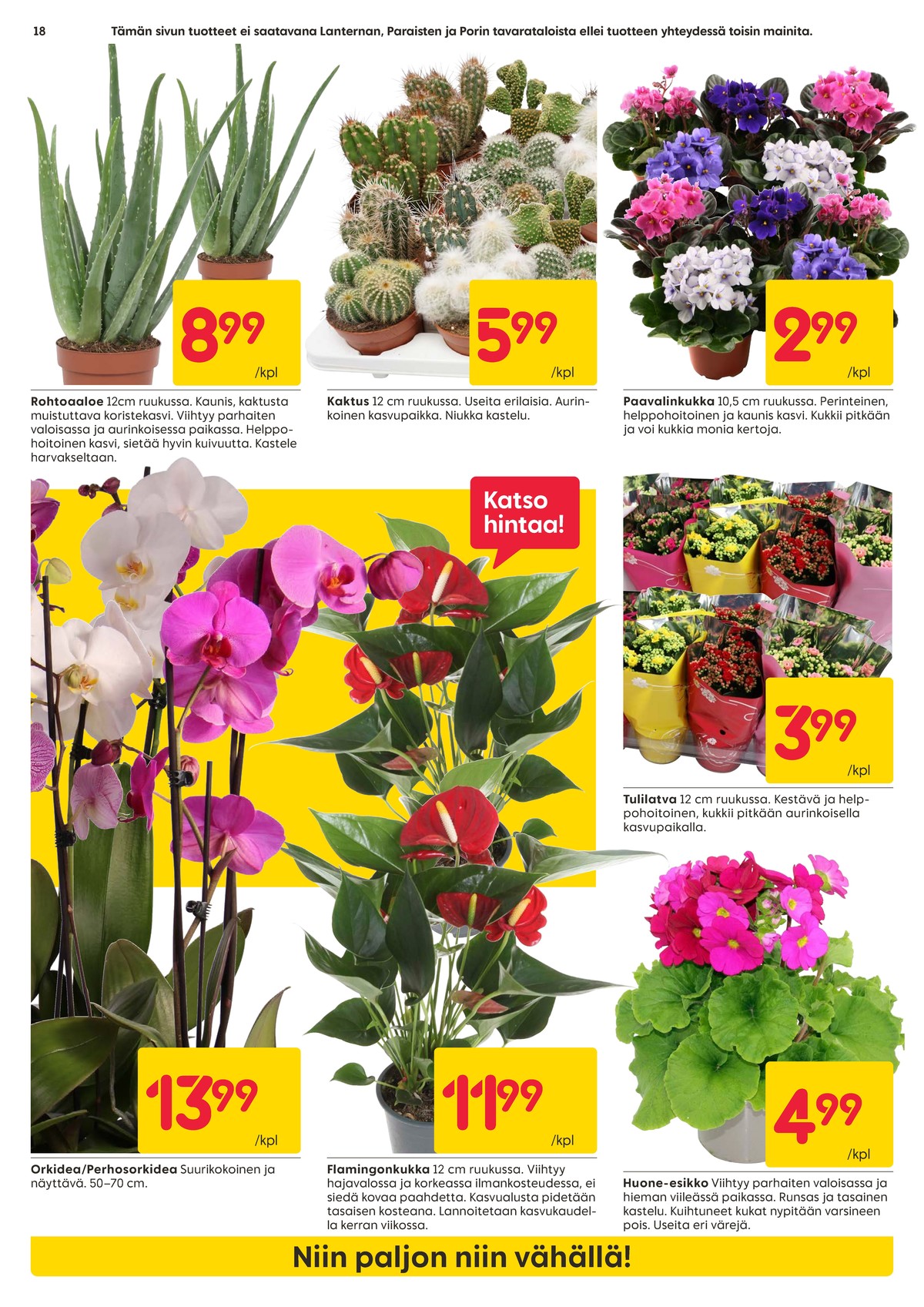 Katso ketjun Rusta tarjouslehti viikolta 4 sivustolla Viikkotarjoukset.fi. Löydät monia hyviä tarjouksia erilaisista tuotteista. Lue tarjouslehti täältä! Sivu 18