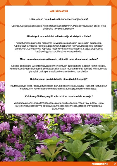 Minimani tarjouslehti viikolta 17 sivu 17