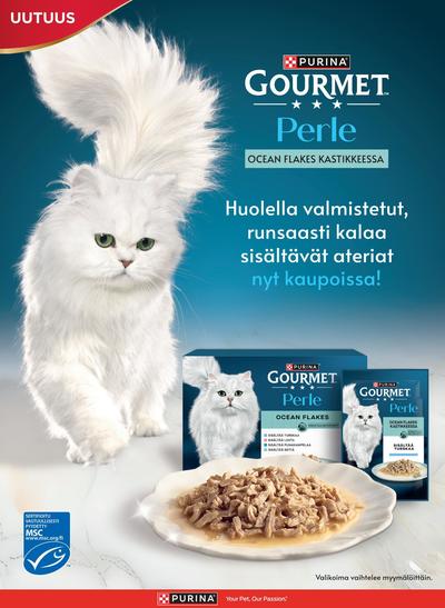 Pirkka tarjouslehti viikolta 21 sivu 40