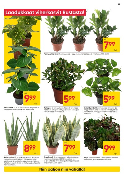 Rusta tarjouslehti viikolta 3 sivu 13