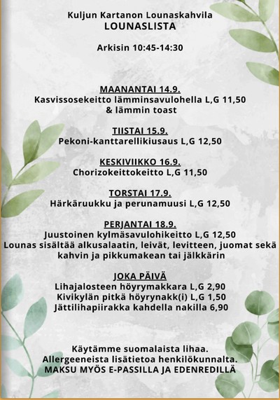 Hintakaari tarjouslehti viikolta 38 sivu 13