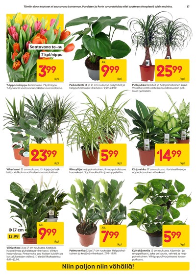 Rusta tarjouslehti viikolta 4 sivu 17