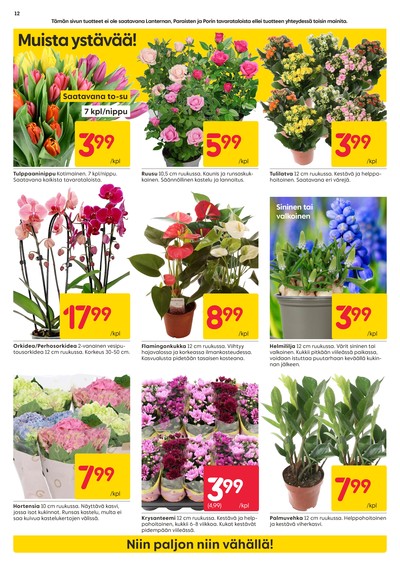 Rusta tarjouslehti viikolta 7 sivu 12