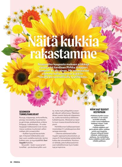 Pirkka tarjouslehti viikolta 9 sivu 29